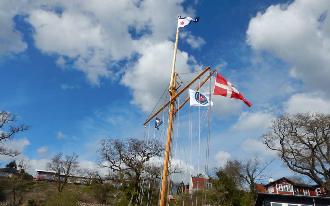 Nyhedsbrev fra bestyrelsen november 2025